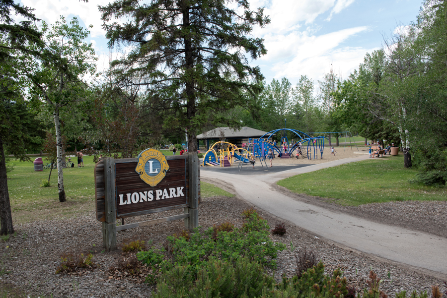 Lions Park T8N