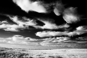 black and white landscape photo