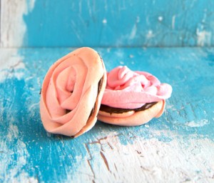 rhuberry coookies on blue background