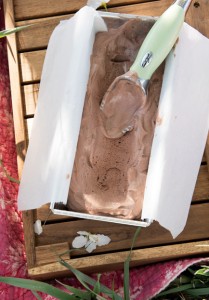 chocolate gelato in a serving dish on a picnic table