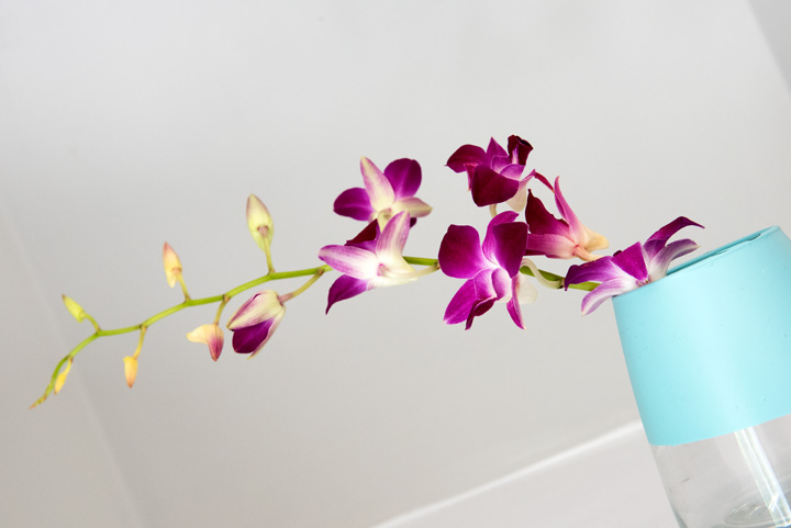 How Tatjana Lees Disability Fueled Her Orchid Obsession - 29ennbn