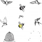 illustrations of Birds and Bees
