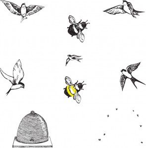 illustrations of Birds and Bees