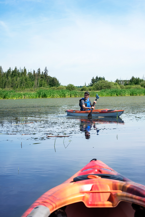Kayaking the Sturgeon River T8N