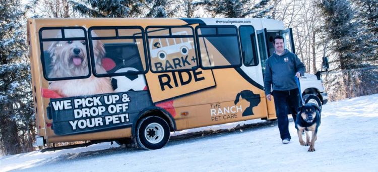 The ranch kennel discount