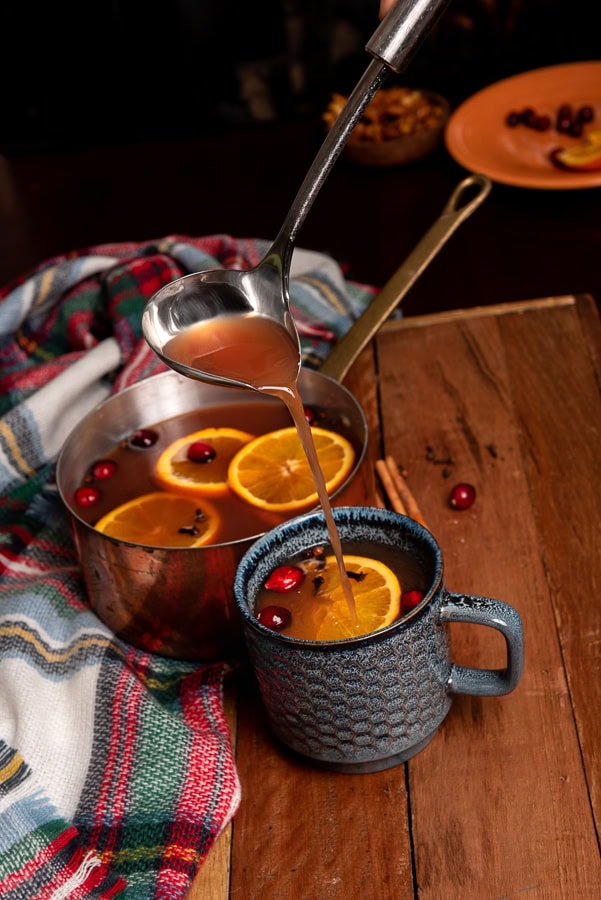 Orange &  Cranberry Cozy | T8N