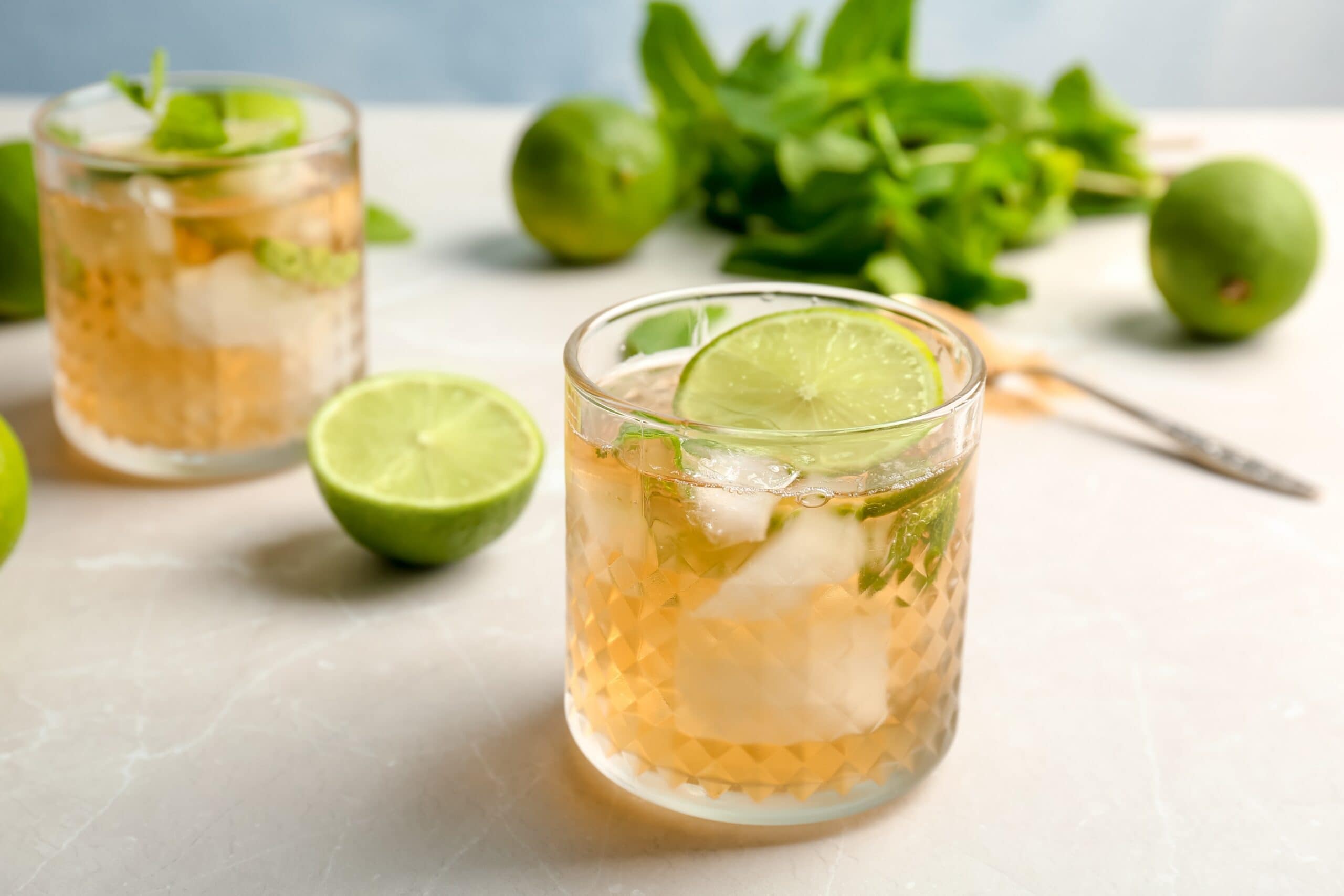 Mint Julep | T8N